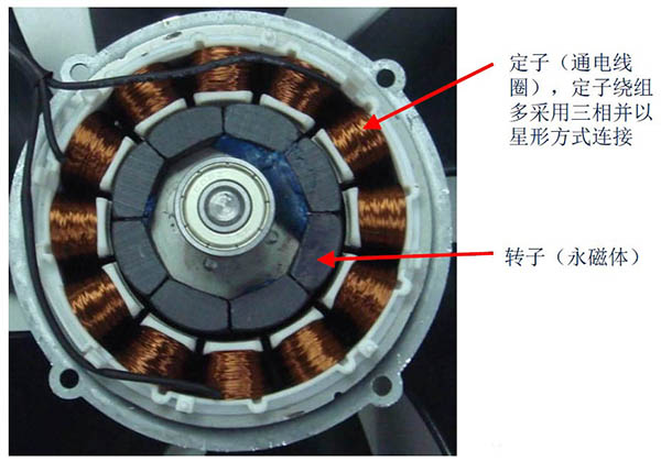 直流無刷電機(jī)定子轉(zhuǎn)子有什么不同？工作原理和作用如何？